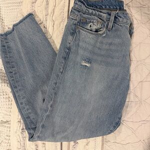 FRAME Le Garçon Crop